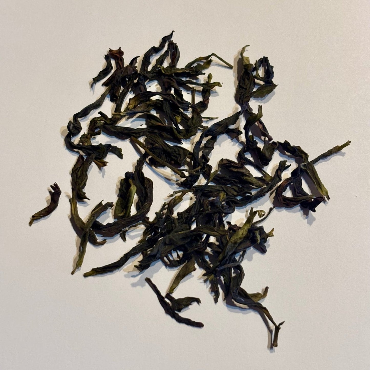 Xue Ya Shi Xiang - Dancong Oolong - TeaShare